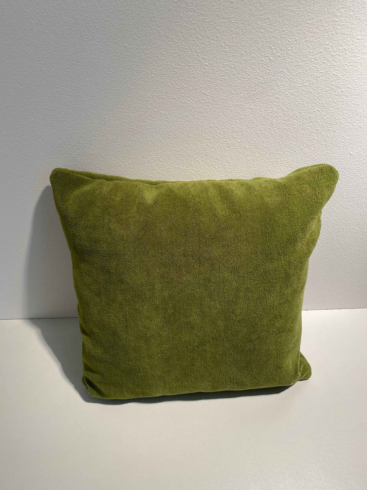 Groen kussen 40x40 met vleug