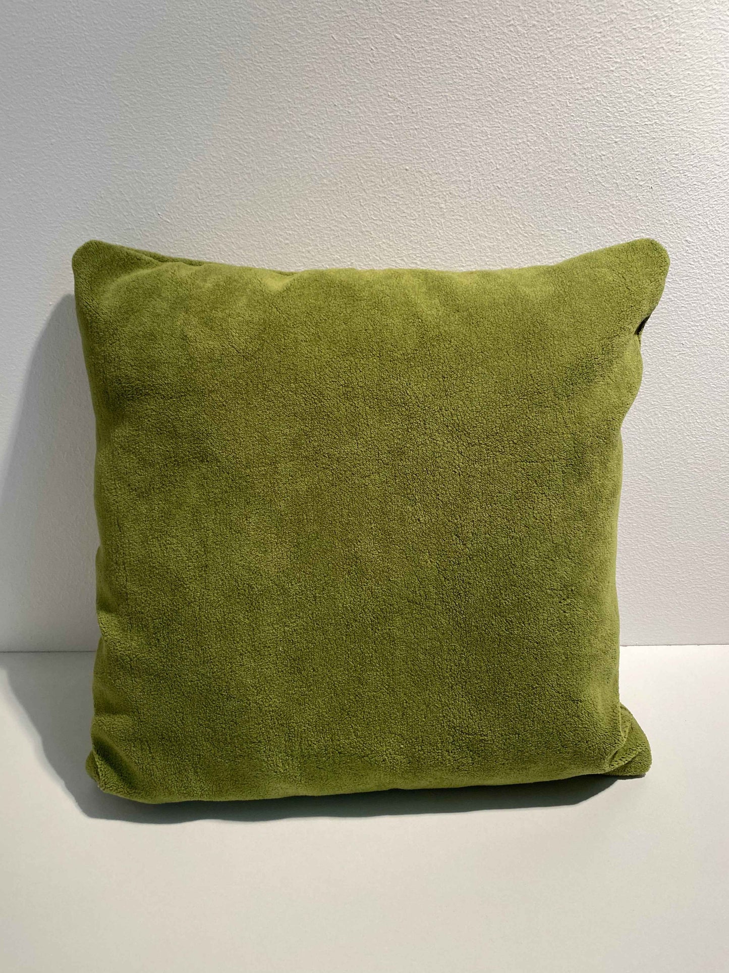 Groen kussen 40x40 met vleug